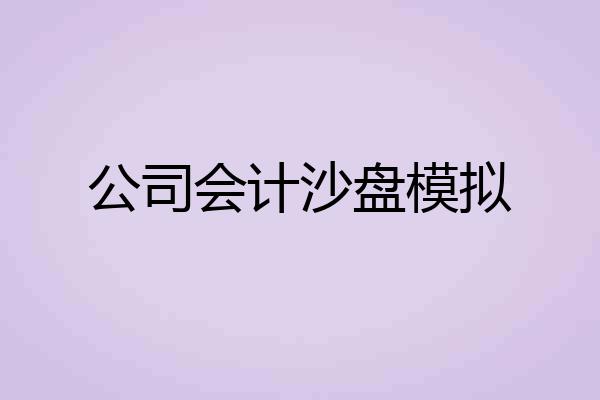 公司会计沙盘模拟
