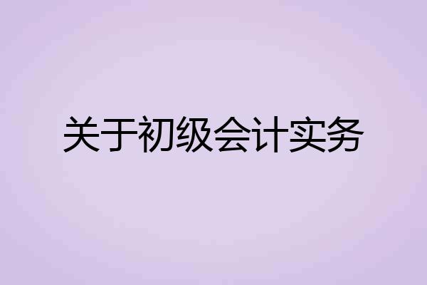 关于初级会计实务