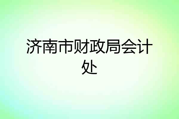 济南市财政局会计处