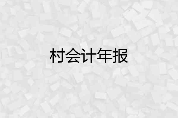 村会计年报