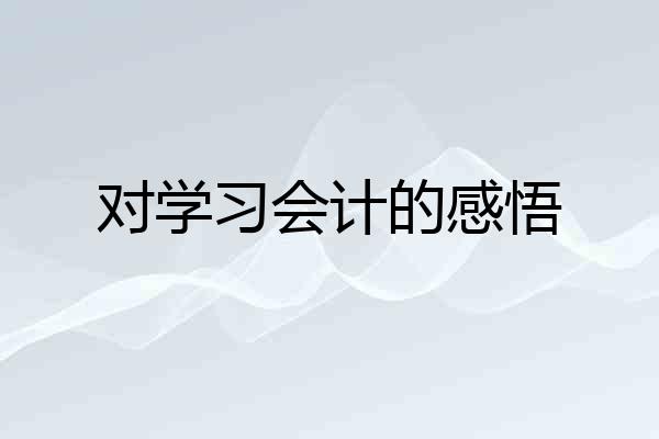 对学习会计的感悟