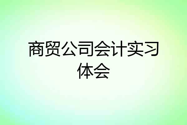 商贸公司会计实习体会