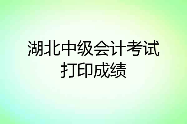 湖北中级会计考试打印成绩