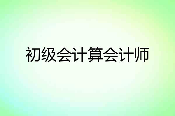 初级会计算会计师