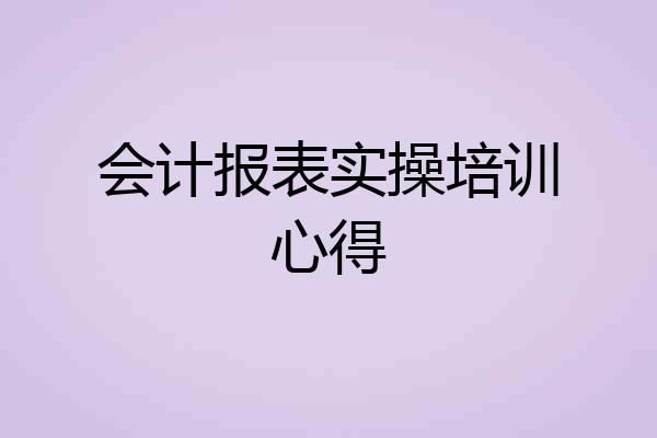 会计报表实操培训心得