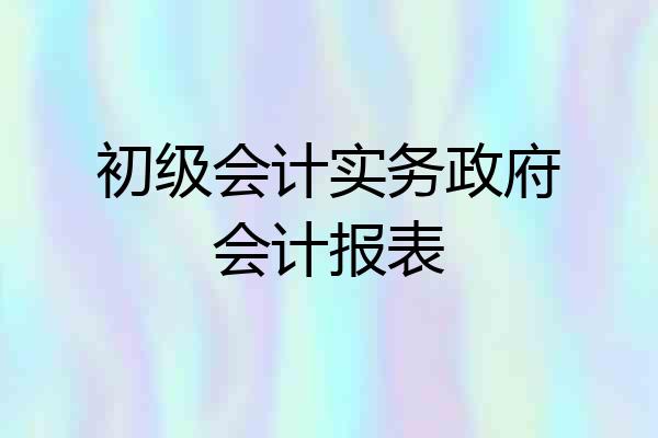 初级会计实务政府会计报表