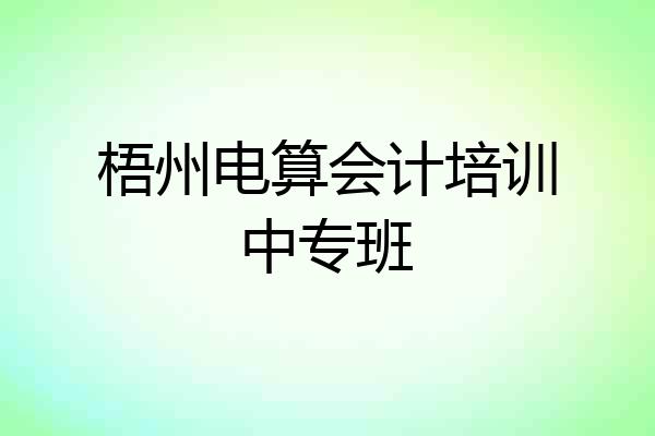 梧州电算会计培训中专班