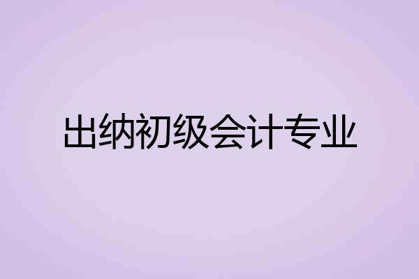 出纳初级会计专业
