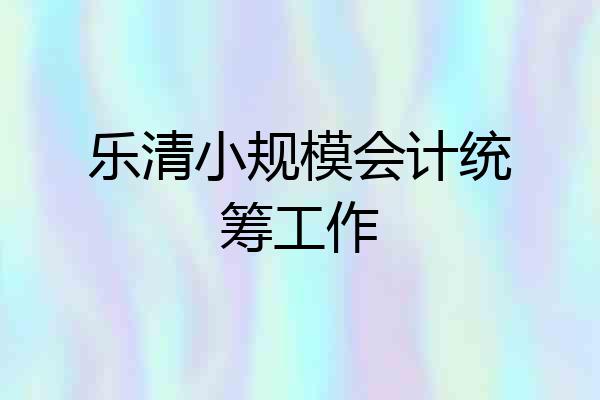 乐清小规模会计统筹工作
