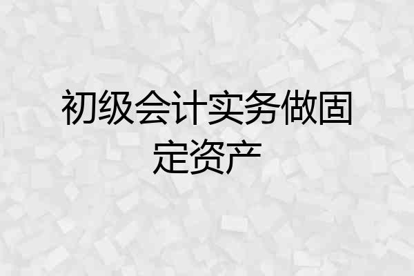 初级会计实务做固定资产