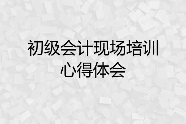 初级会计现场培训心得体会