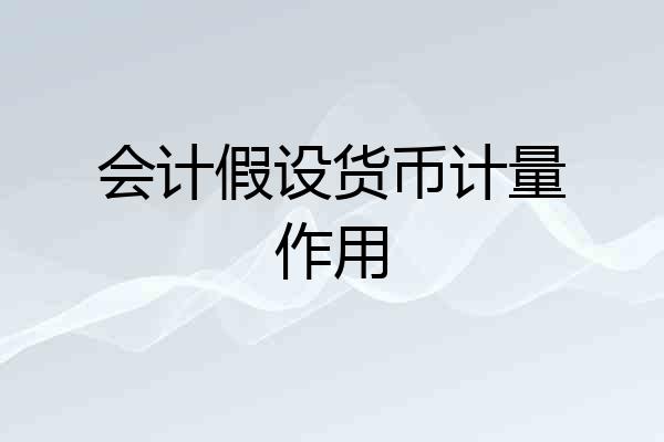 会计假设货币计量作用