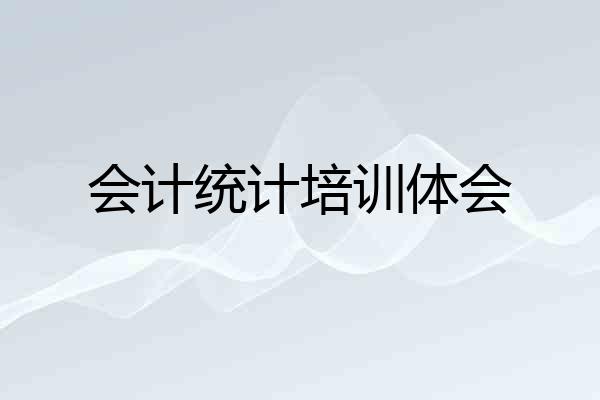 会计统计培训体会