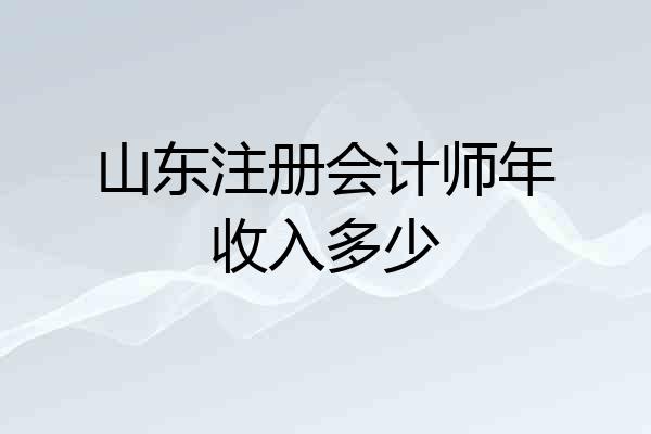 山东注册会计师年收入多少
