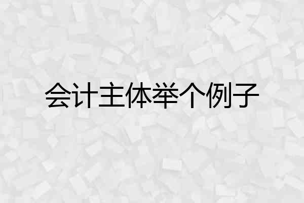 会计主体举个例子