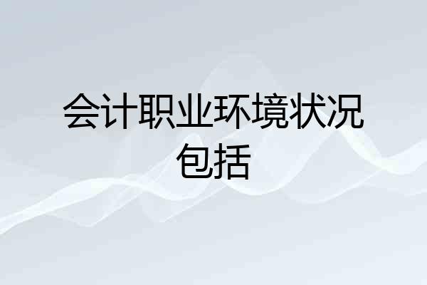 会计职业环境状况包括