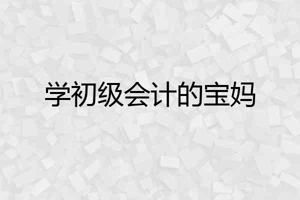 学初级会计的宝妈