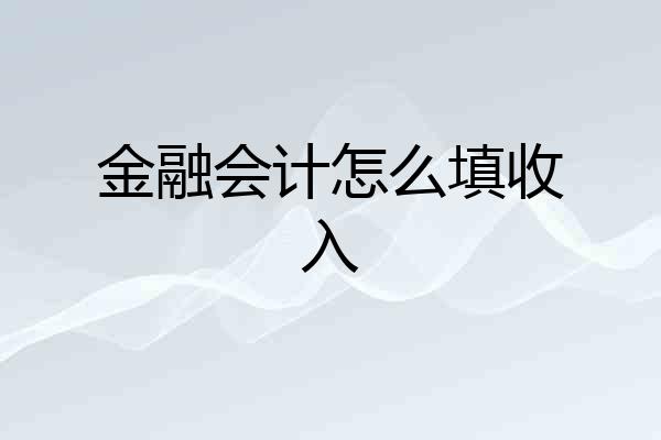 金融会计怎么填收入