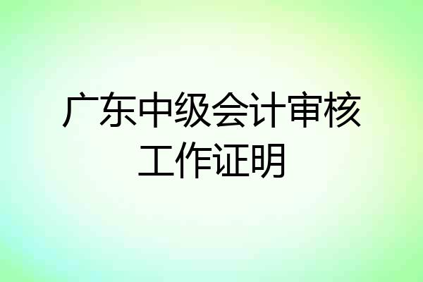 广东中级会计审核工作证明