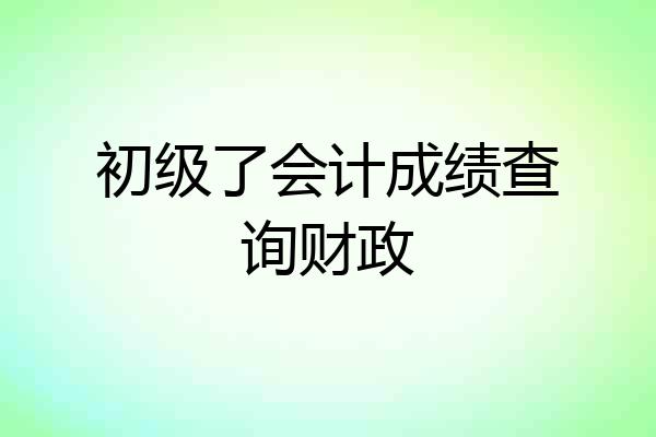初级了会计成绩查询财政