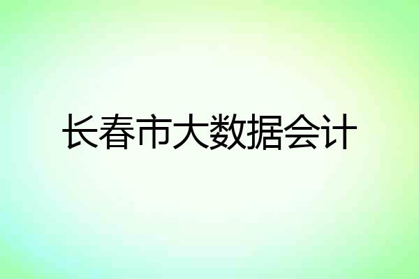 长春市大数据会计