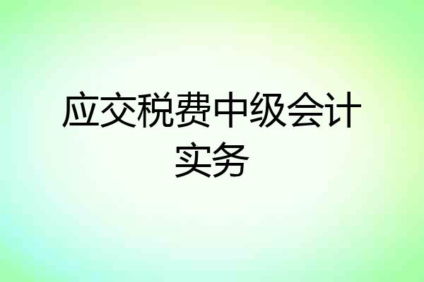 应交税费中级会计实务