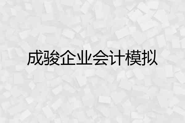 成骏企业会计模拟