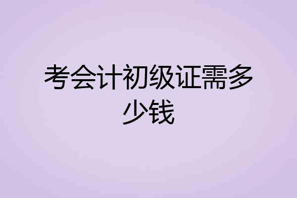 考会计初级证需多少钱
