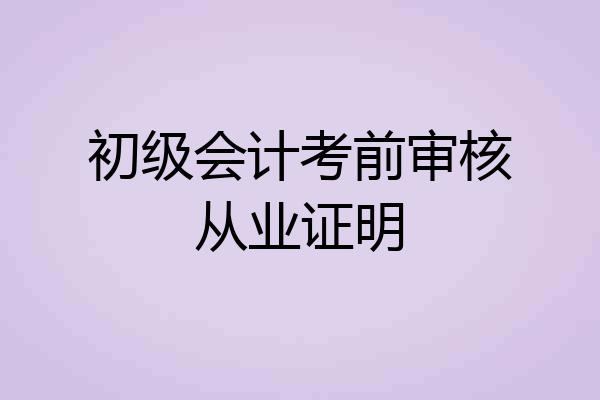 初级会计考前审核从业证明