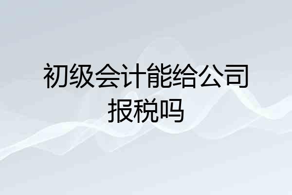 初级会计能给公司报税吗