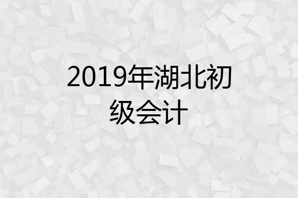 2019年湖北初级会计