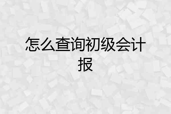 怎么查询初级会计报