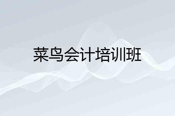 菜鸟会计培训班