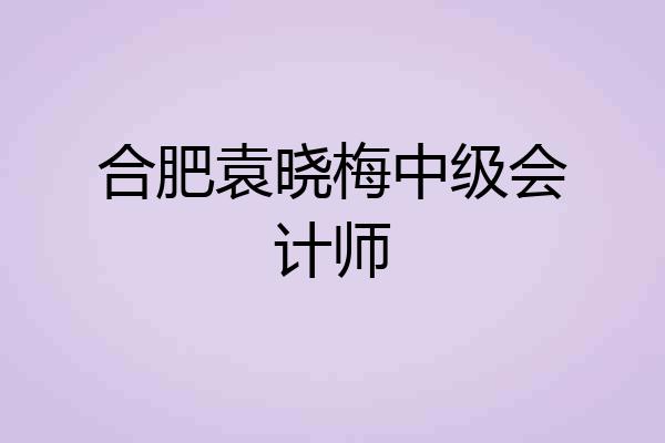 合肥袁晓梅中级会计师