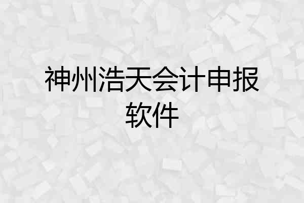 神州浩天会计申报软件