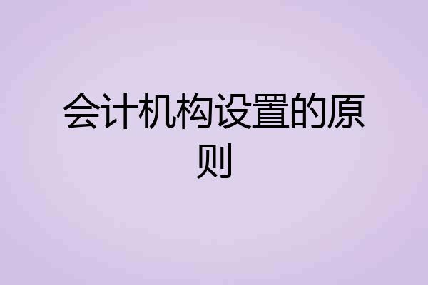 会计机构设置的原则