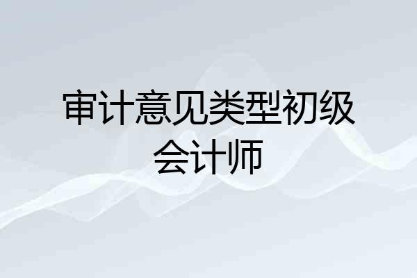 审计意见类型初级会计师