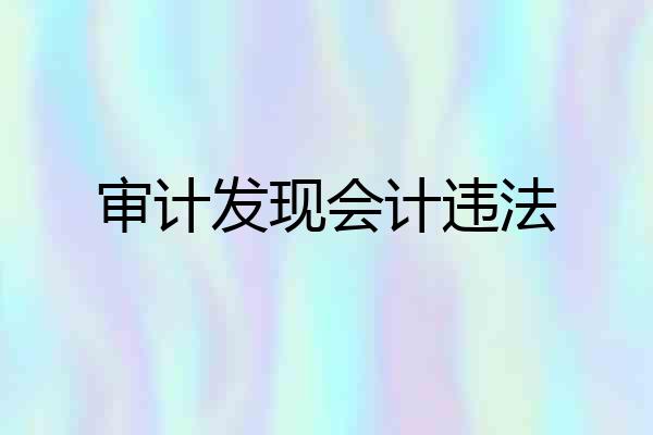 审计发现会计违法