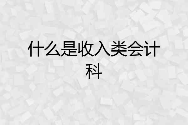 什么是收入类会计科