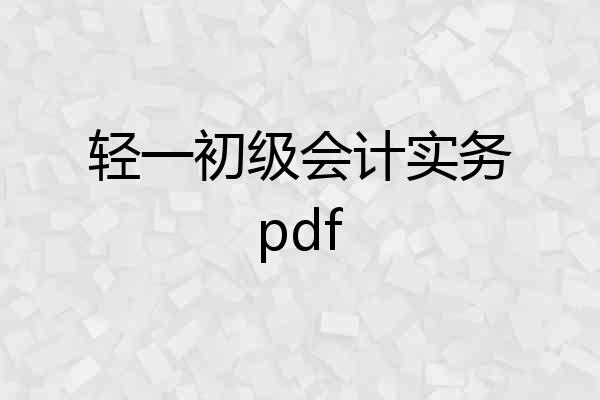 轻一初级会计实务pdf