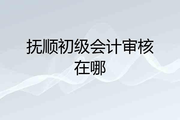 抚顺初级会计审核在哪