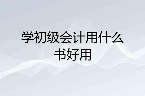学初级会计用什么书好用