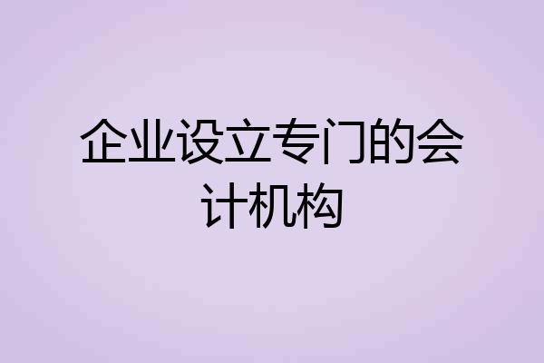 企业设立专门的会计机构