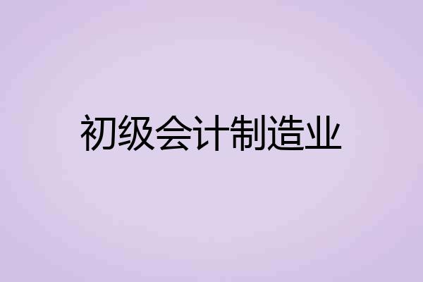初级会计制造业