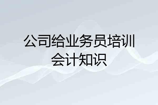 公司给业务员培训会计知识
