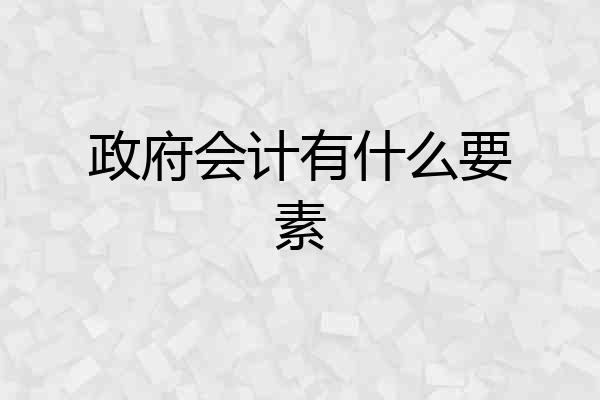 政府会计有什么要素