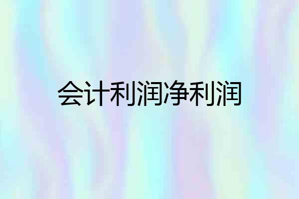 会计利润净利润