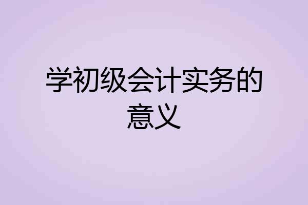 学初级会计实务的意义