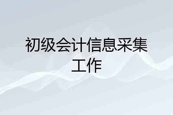 初级会计信息采集工作