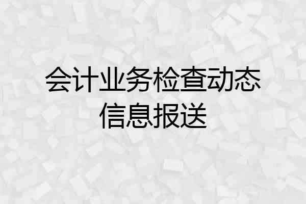 会计业务检查动态信息报送